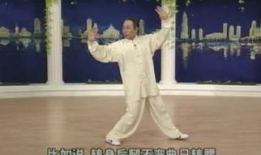杨氏太极拳24式视频分解动作教学,循序渐进掌握太极拳精髓